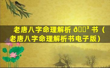 老唐八字命理解析 🐳 书（老唐八字命理解析书电子版）